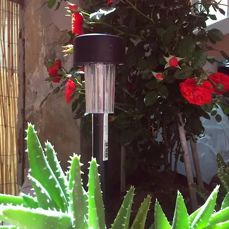 Station Bed & Breakfast